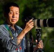 免费观看大象传媒-免费观看大象传媒，数字时代的文化共享新风尚