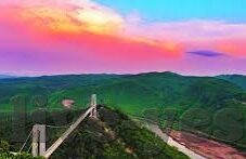 欧美理论在线大象视频-欧美理论在线与大象视频，文化交流的桥梁与挑战